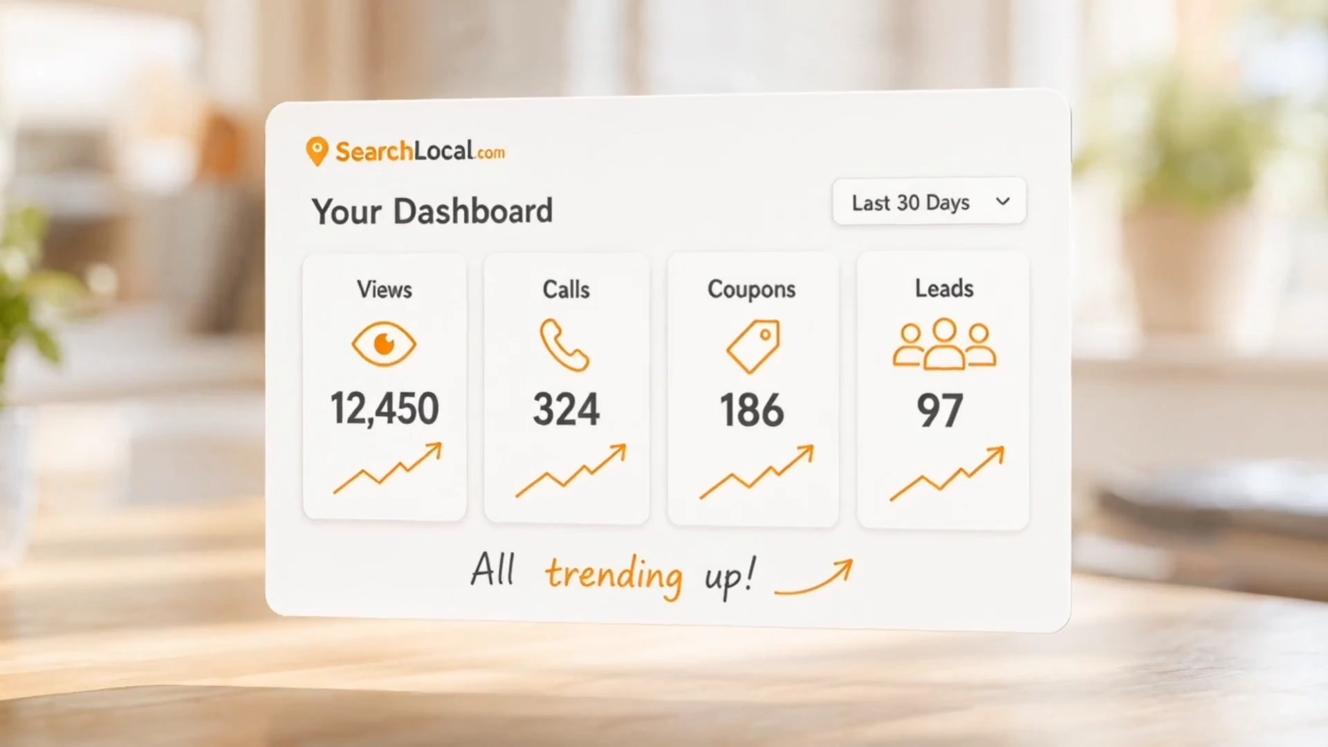 SearchLocal dashboard showing views, calls, coupons, and leads