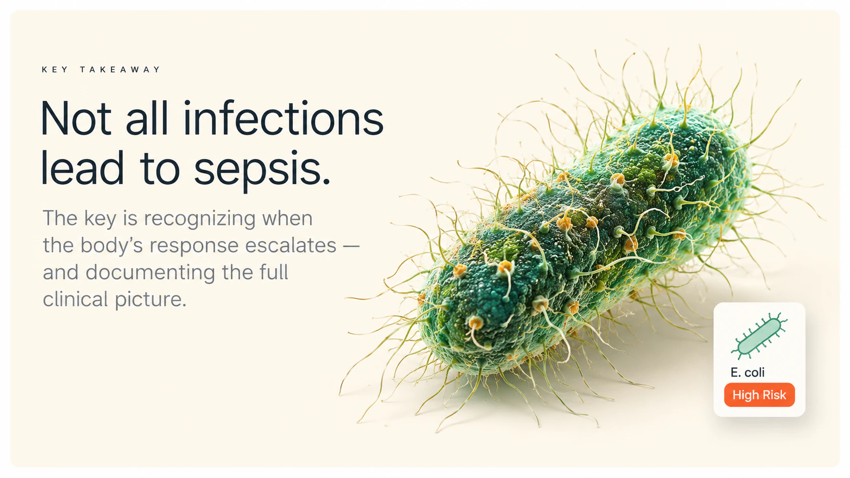 Key-takeaway medical presentation identifying E coli as a high-risk microorganism example